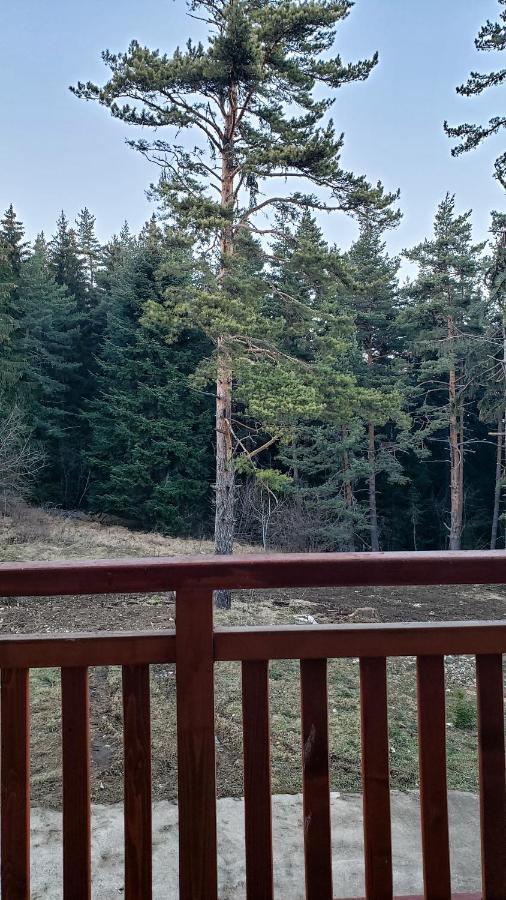 Semiramida Gardens Apartments Borovets Exterior photo